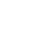 Reliable-Delivery-icon.png