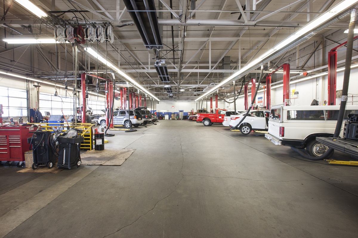 Rows of cars and trucks in auto repair shop
